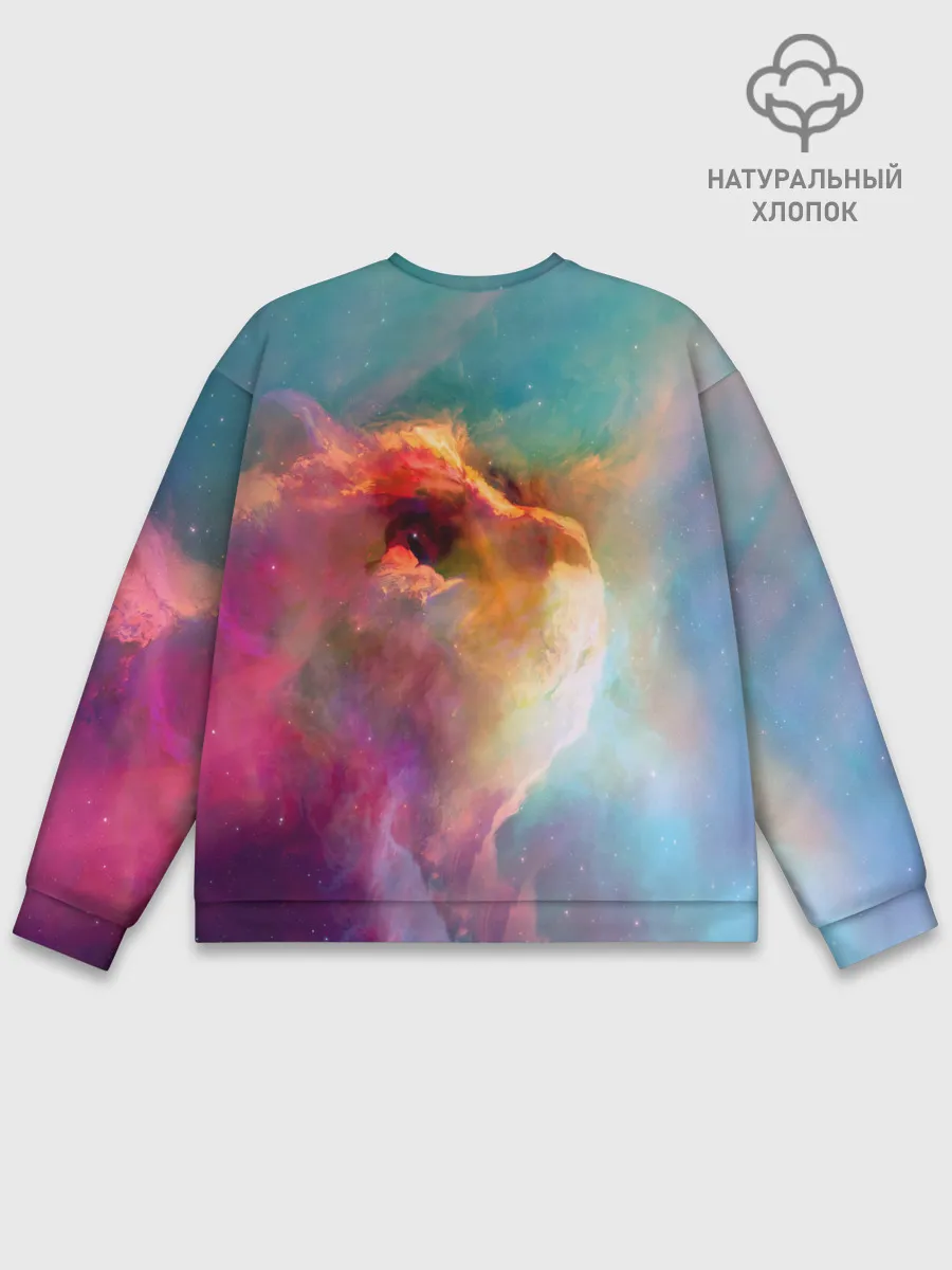 Мужской свитшот базовый / КОСМИЧЕСКИЙ КОТ
