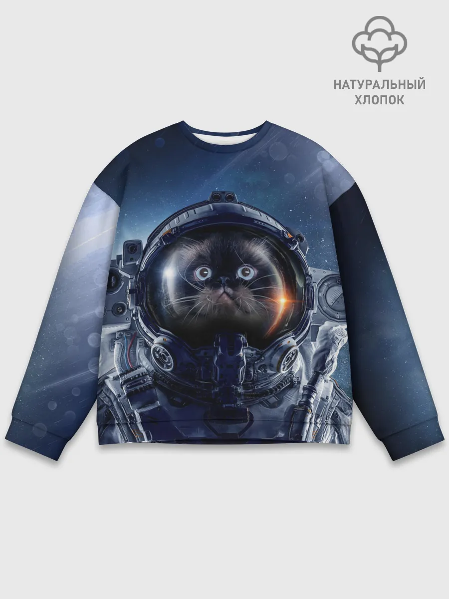 Мужской свитшот базовый / Кот космонавт