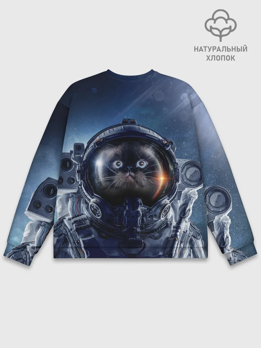 Мужской свитшот базовый / Кот космонавт