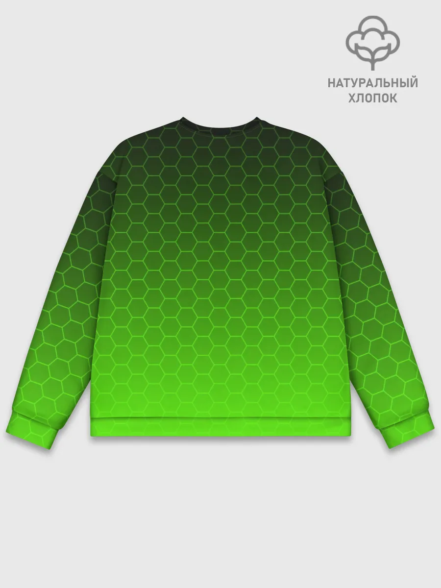 Мужской свитшот базовый / STALKER СВОБОДА