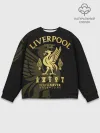 Мужской свитшот базовый / Ливерпуль