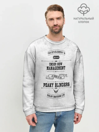 Мужской свитшот базовый / Острые козырьки