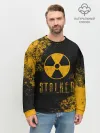 Мужской свитшот базовый / S.T.A.L.K.E.R.