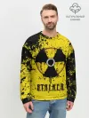 Мужской свитшот базовый / S.T.A.L.K.E.R.