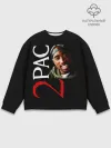 Мужской свитшот базовый / 2pac