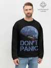 Мужской свитшот базовый / Dont Panic