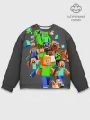Мужской свитшот базовый / MINECRAFT ONLINE