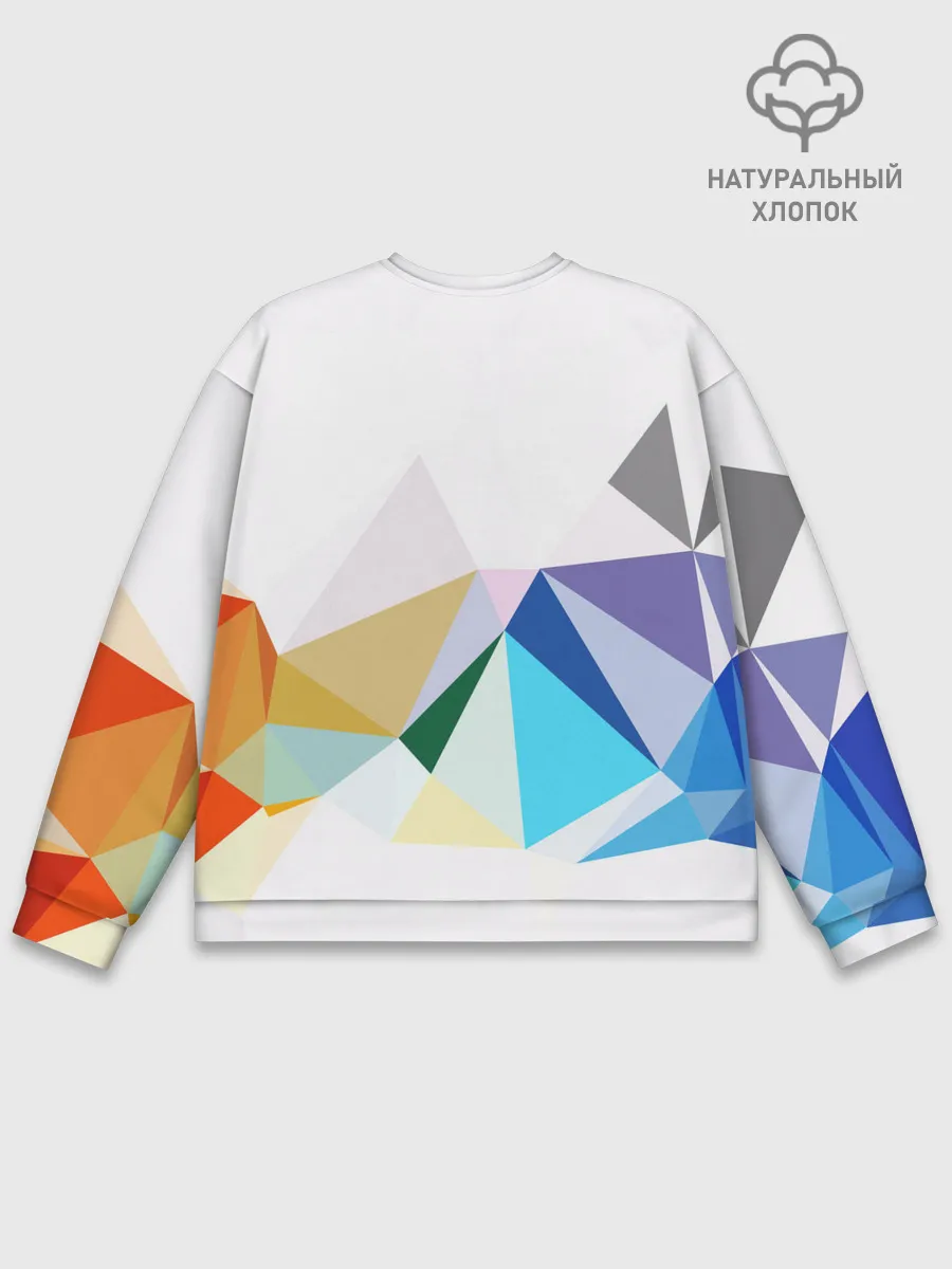 Мужской свитшот базовый / GEOMETRY