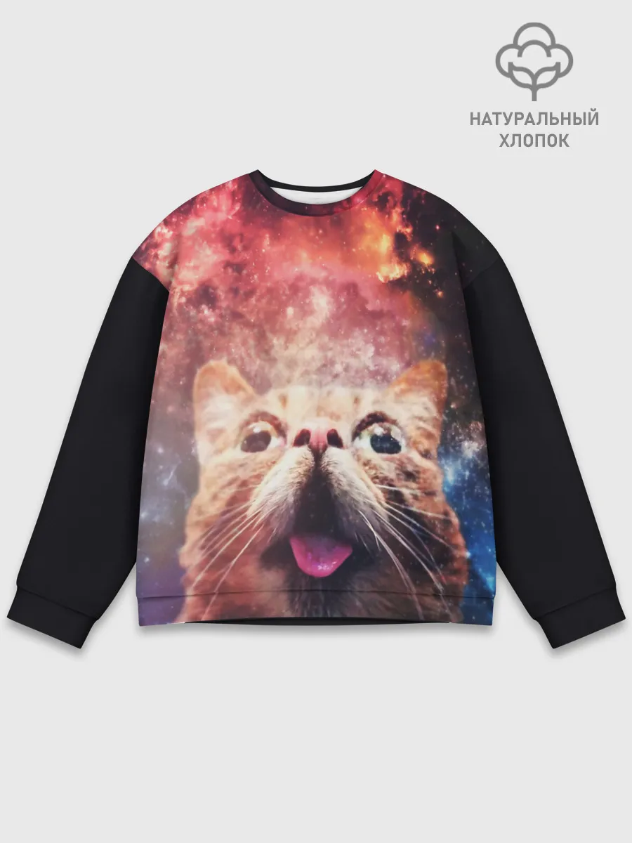 Мужской свитшот базовый / КОТ