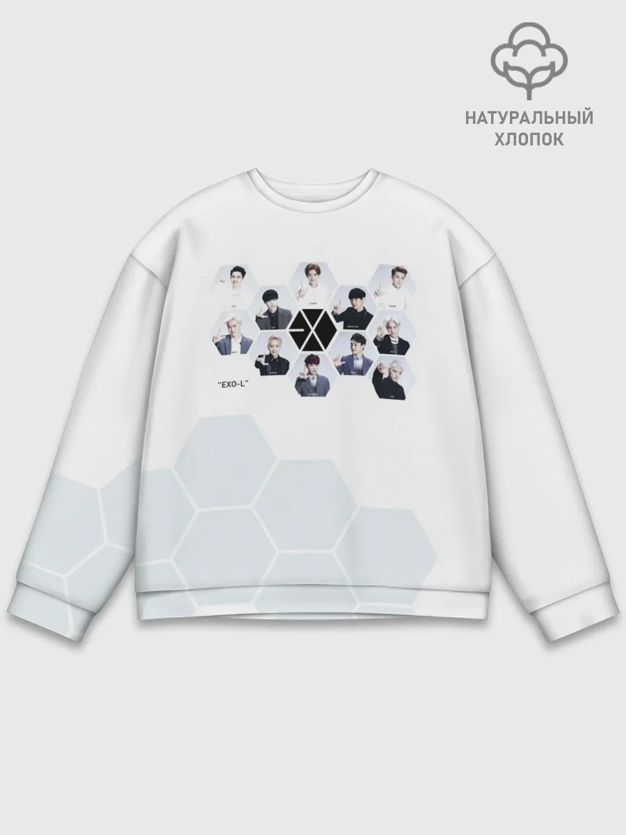 Мужской свитшот базовый / EXO