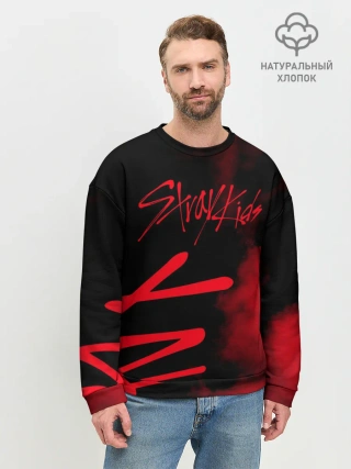 Мужской свитшот базовый / Stray Kids