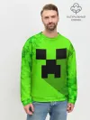 Мужской свитшот базовый / MINECRAFT