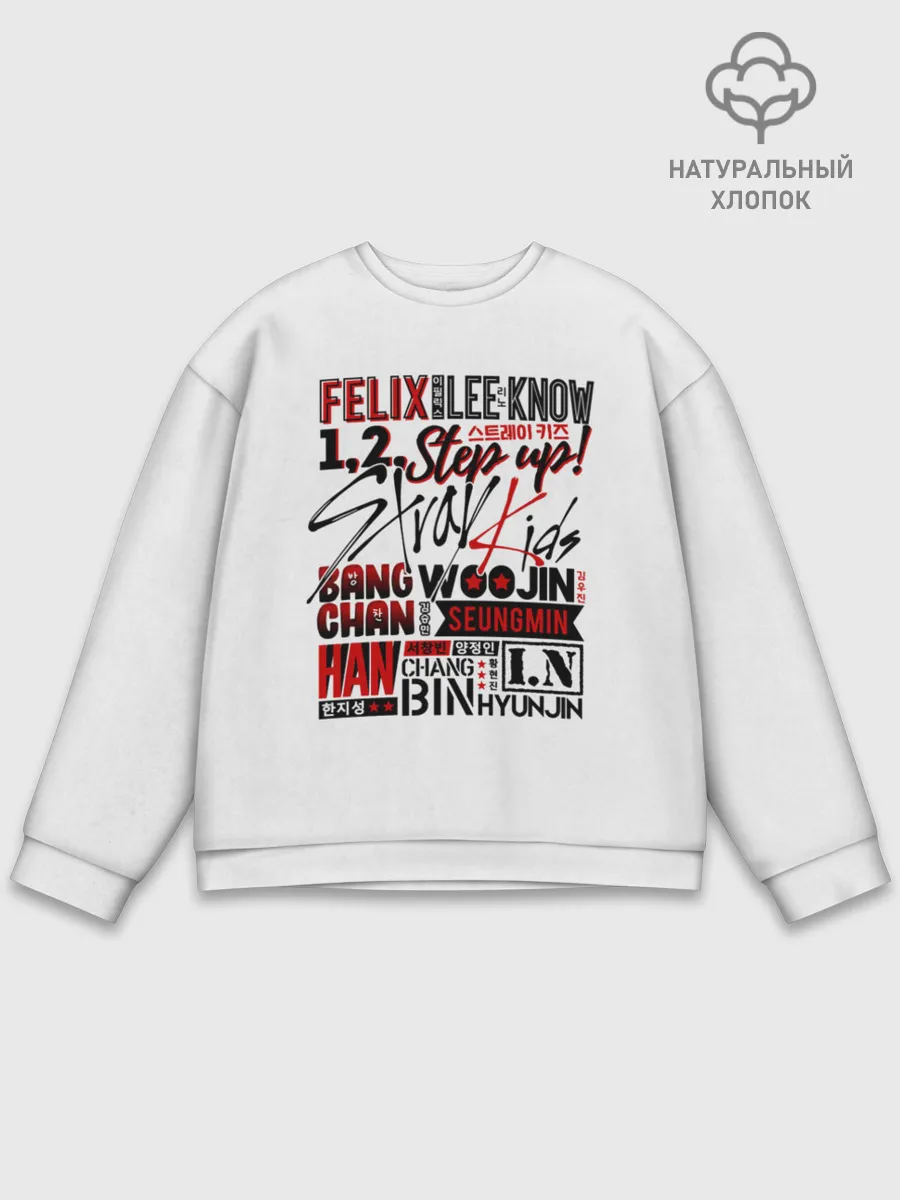 Мужской свитшот базовый / Stray Kids