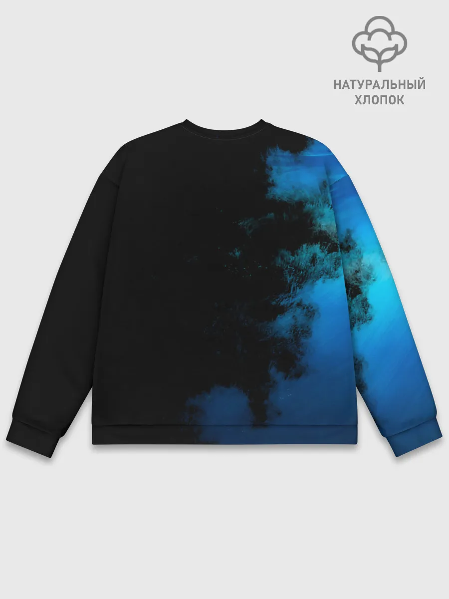 Мужской свитшот базовый / Nautilus Pompilius