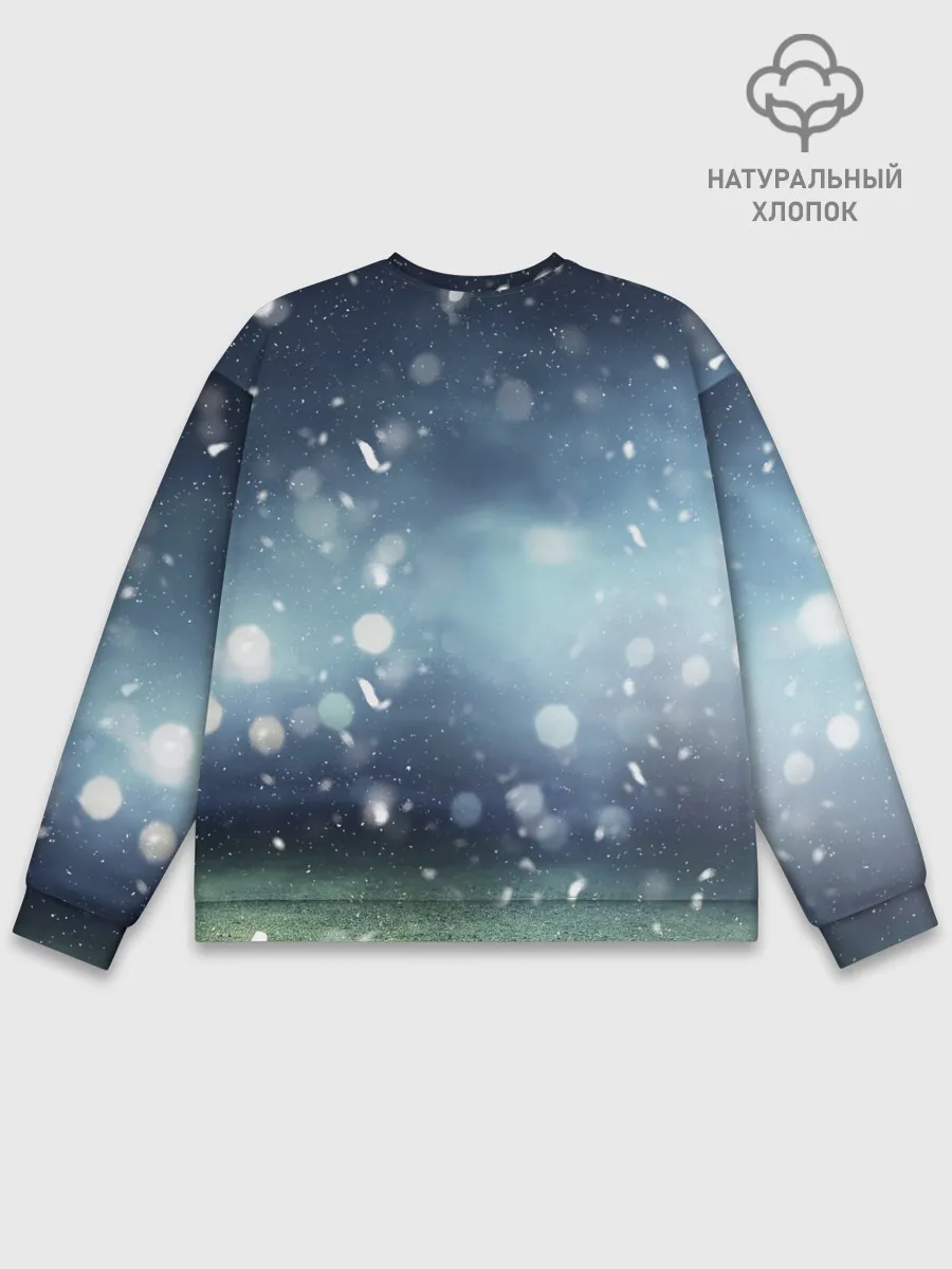 Мужской свитшот базовый / Александр Головин