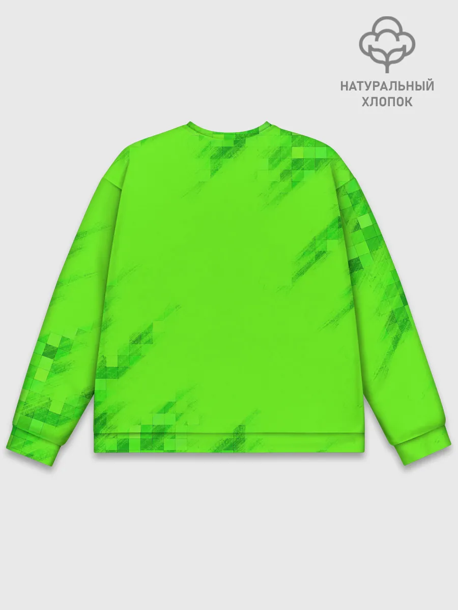 Мужской свитшот базовый / MINECRAFT