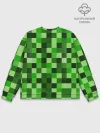 Мужской свитшот базовый / MINECRAFT