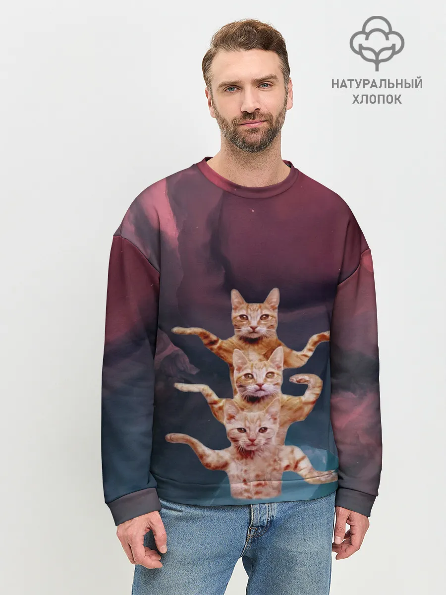 Мужской свитшот базовый / Танцующие коты