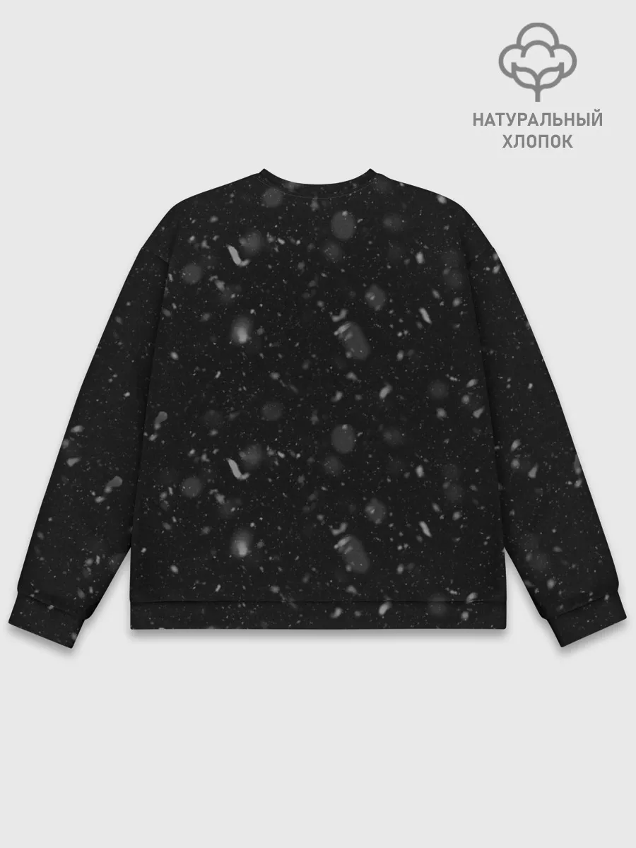 Мужской свитшот базовый / Илья Ковальчук