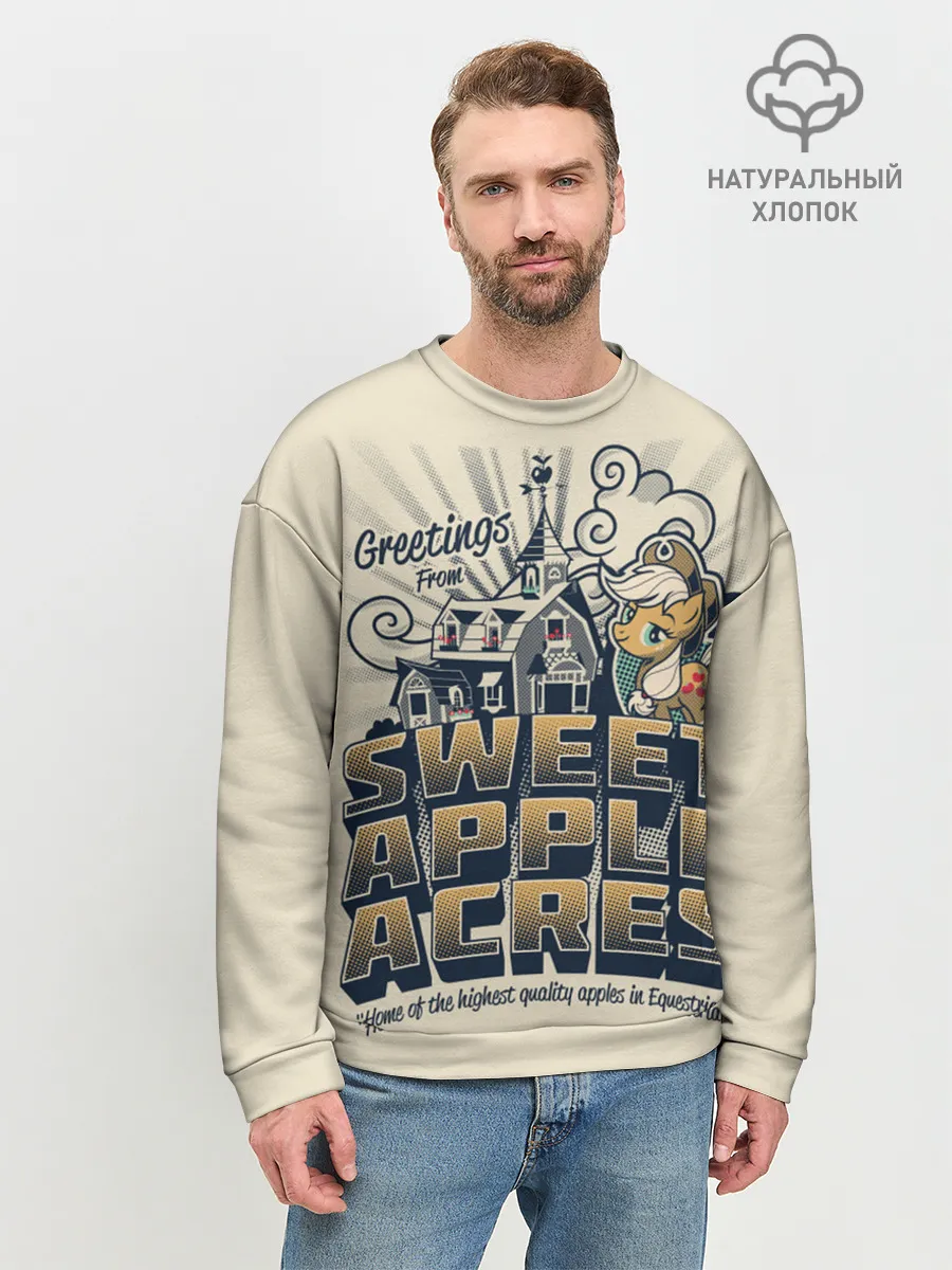 Мужской свитшот базовый / My little pony sweet