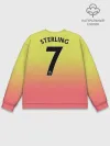 Мужской свитшот базовый / Sterling third 19-20