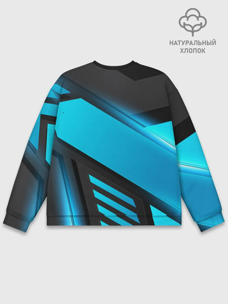 Мужской свитшот базовый / Detroit RK900