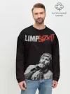 Мужской свитшот базовый / Limp Bizkit