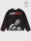 Мужской свитшот базовый / Limp Bizkit