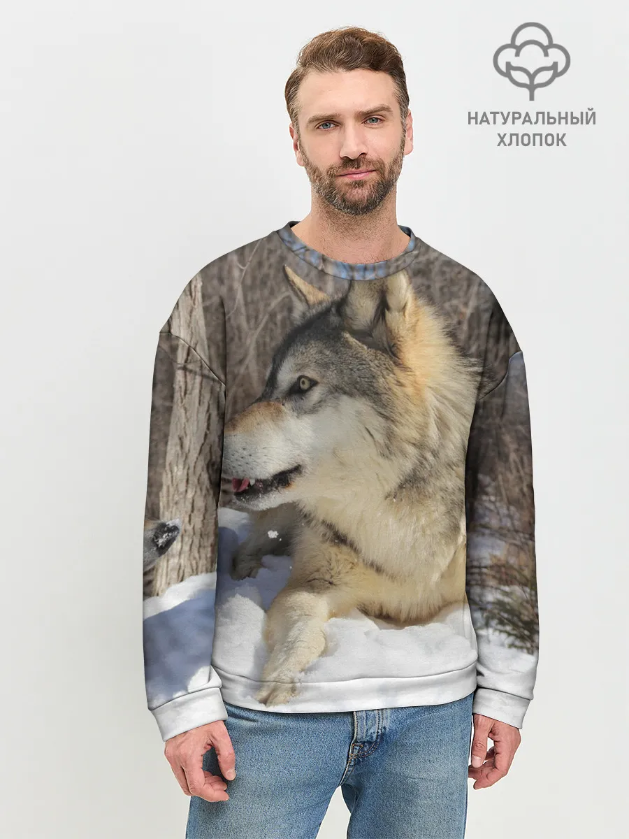 Мужской свитшот базовый / Волк лежит на снегу