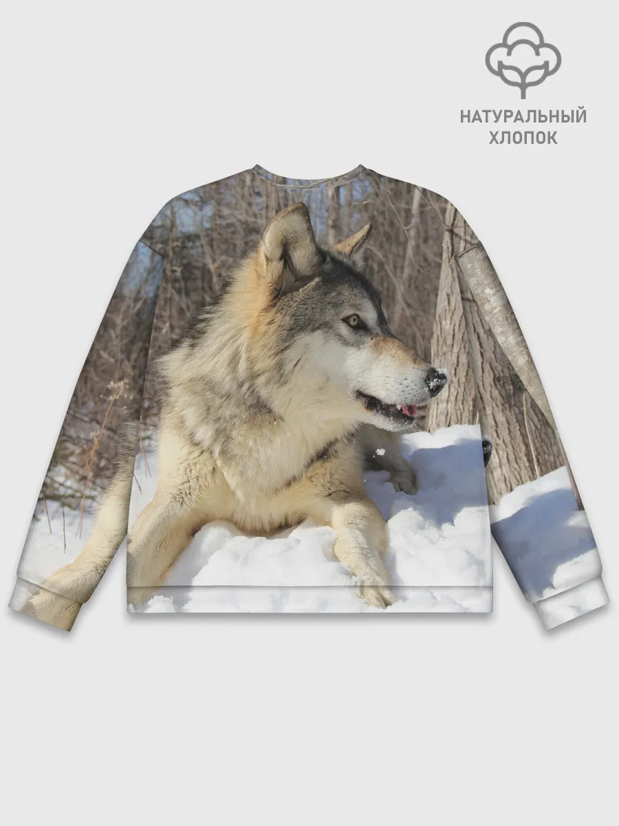 Мужской свитшот базовый / Волк лежит на снегу