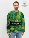Мужской свитшот базовый / Молодость/глупость