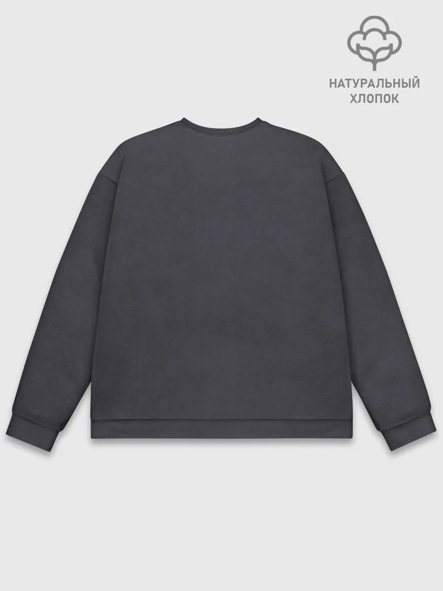 Мужской свитшот базовый / Fencer