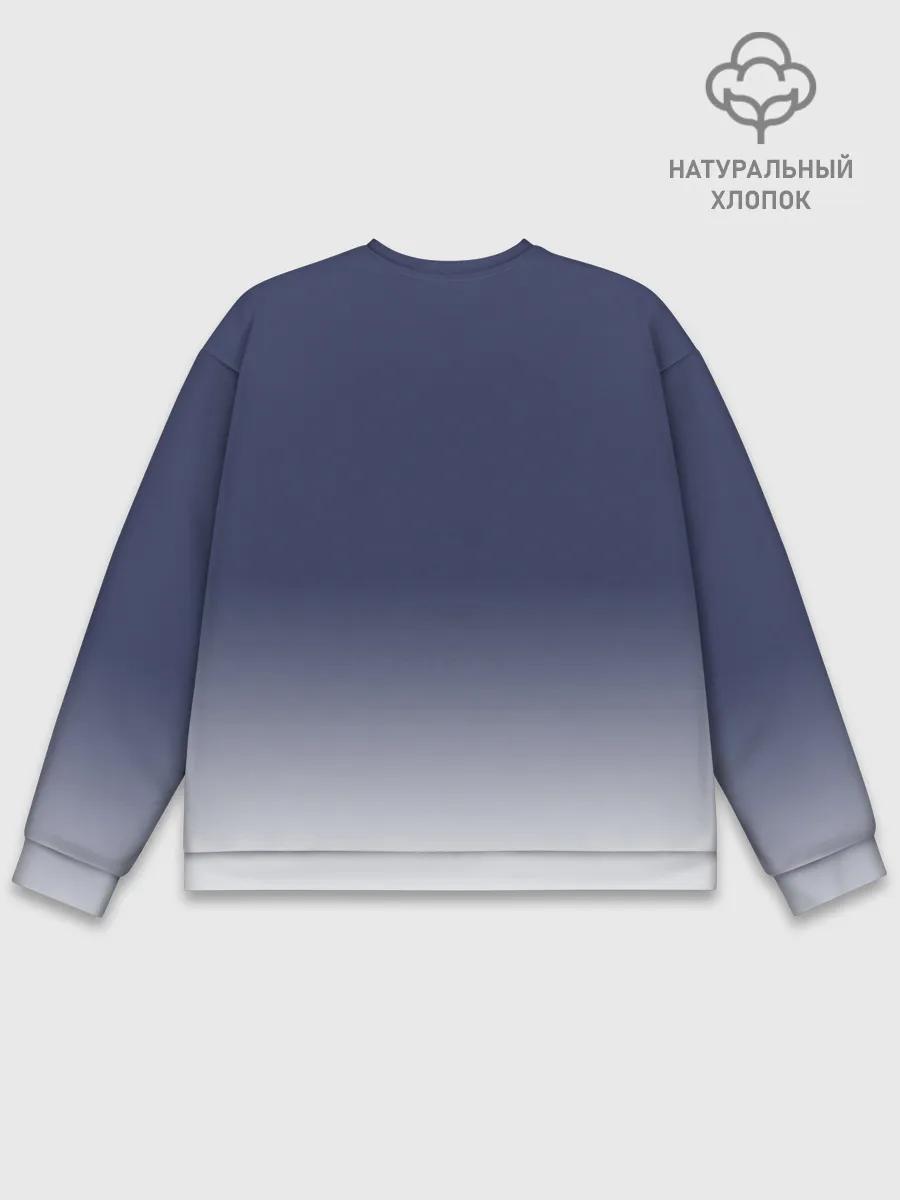 Мужской свитшот базовый / Биплан