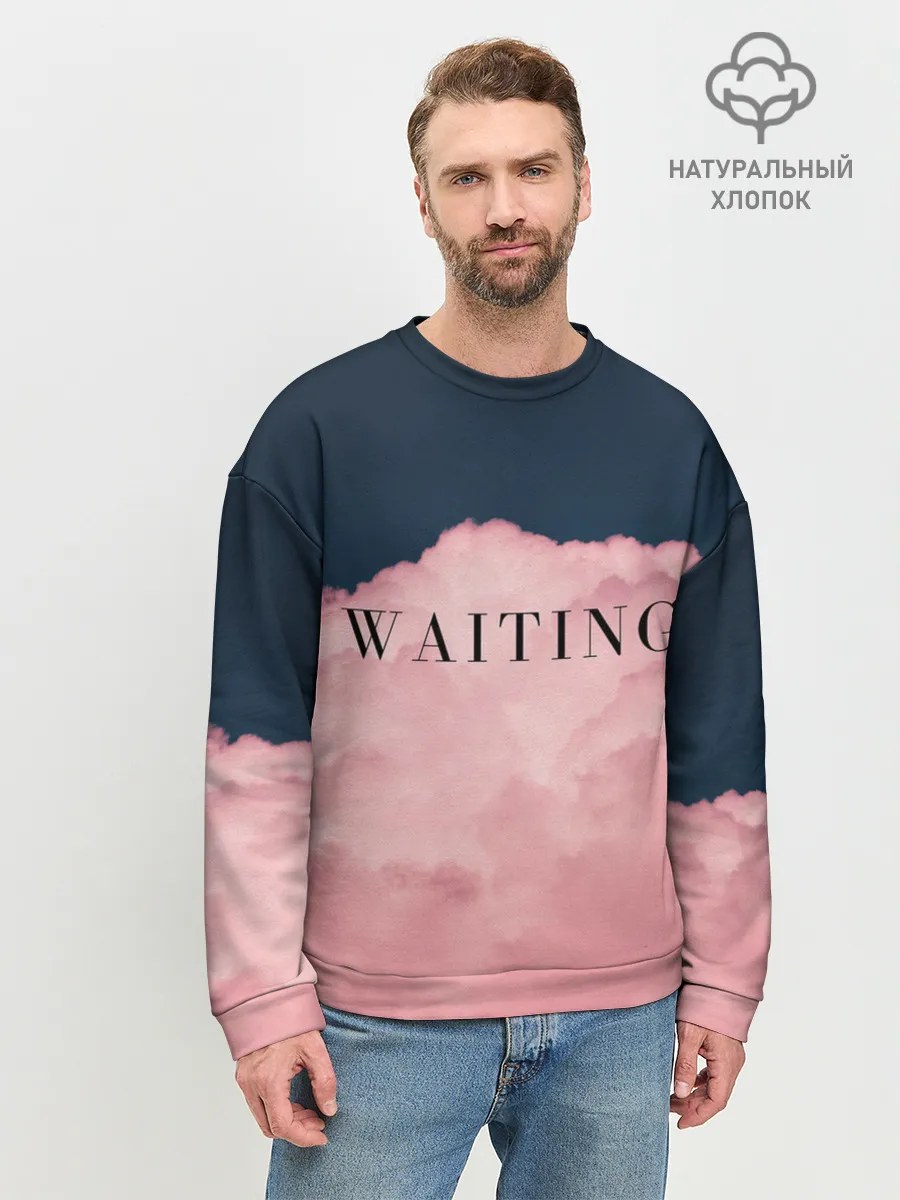 Мужской свитшот базовый / WAITING