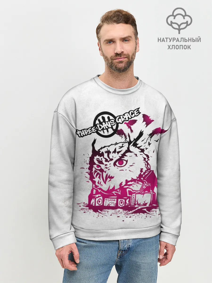 Мужской свитшот базовый / Three days grace