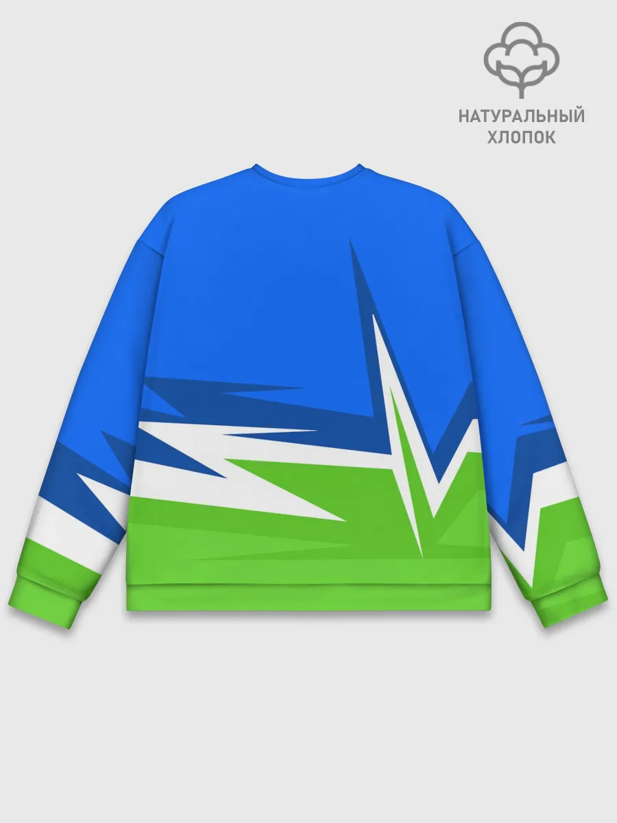 Мужской свитшот базовый / ВДВ