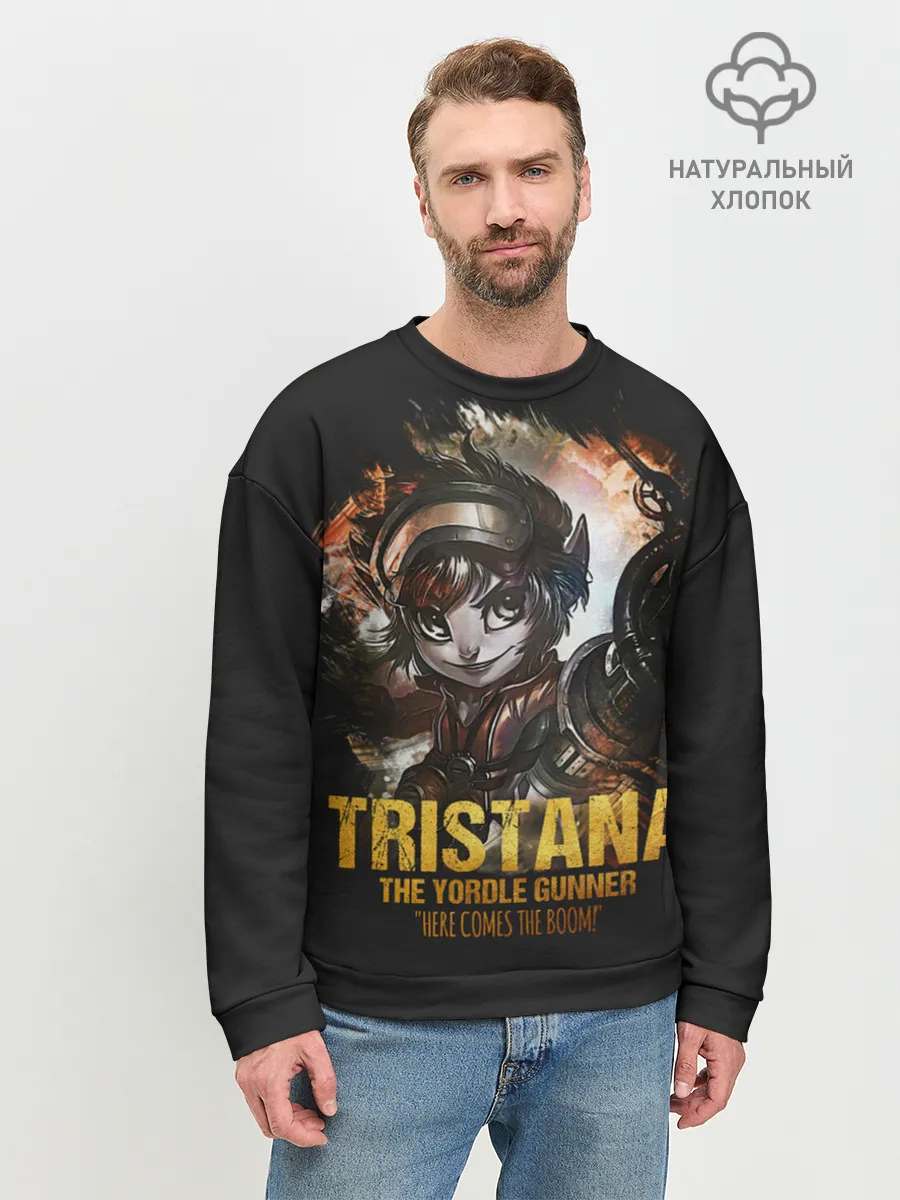 Мужской свитшот базовый / Tristana