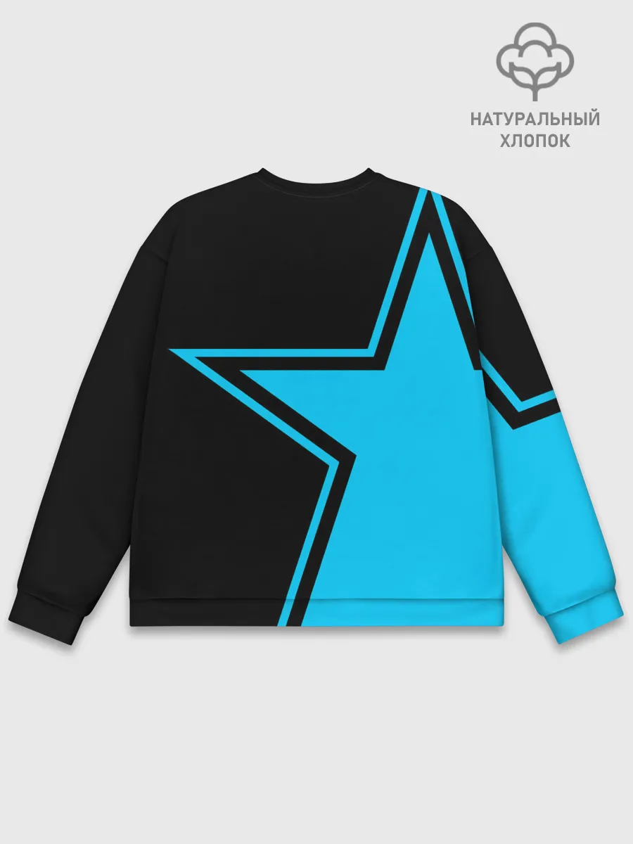 Мужской свитшот базовый / ВДВ