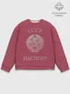 Мужской свитшот базовый / Паспорт Советского Союза