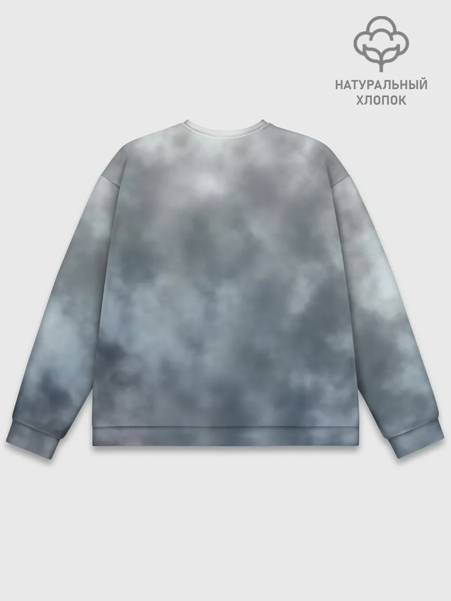 Мужской свитшот базовый / ASSASSINS CREED.