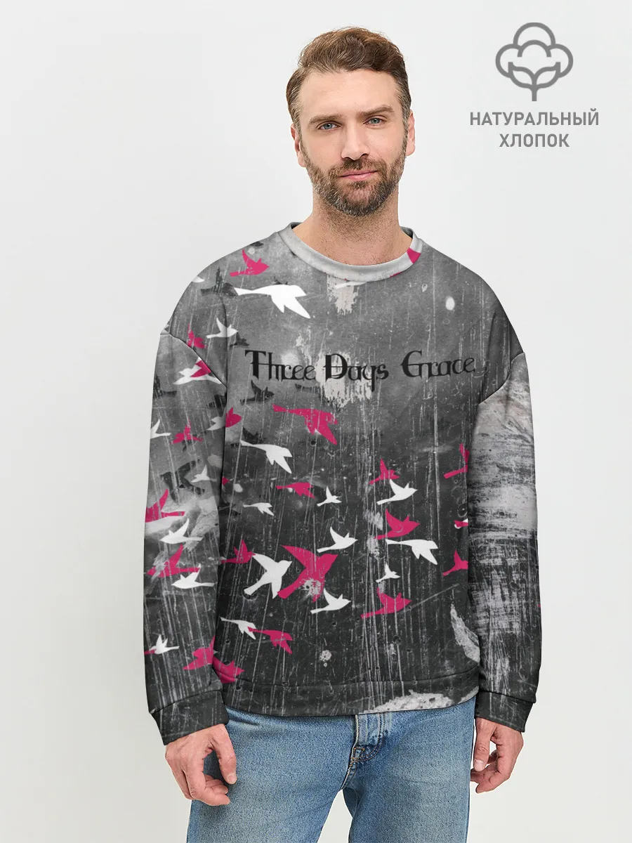 Мужской свитшот базовый / Three Days Grace art
