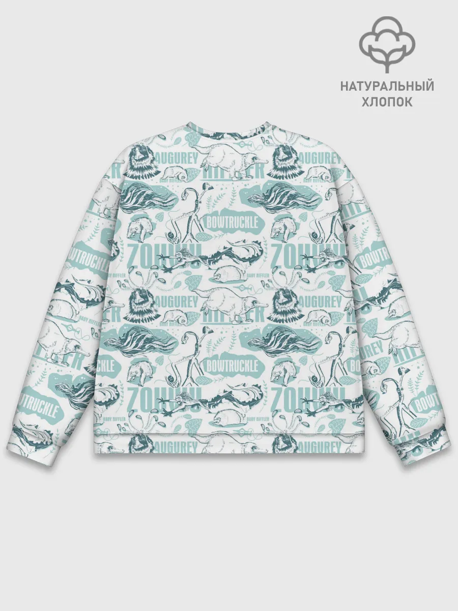 Мужской свитшот базовый / Fantastic Beasts