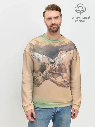 Мужской свитшот базовый / Борьба