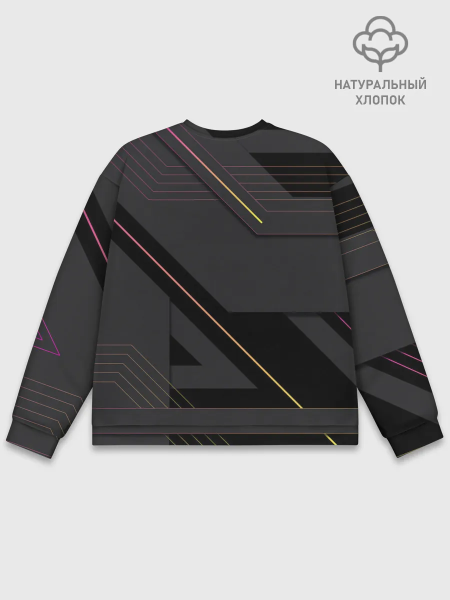 Мужской свитшот базовый / Modern Geometry