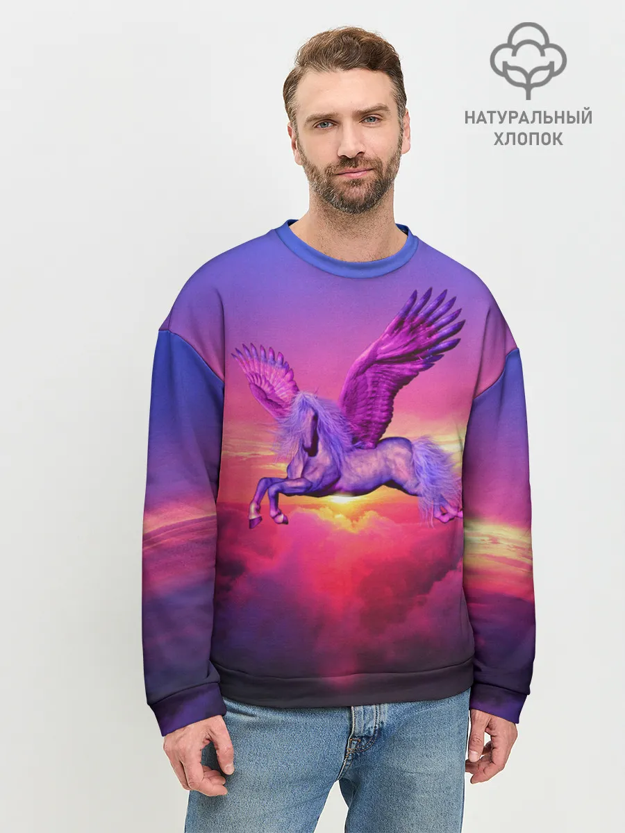 Мужской свитшот базовый / Dusk Sky Horse
