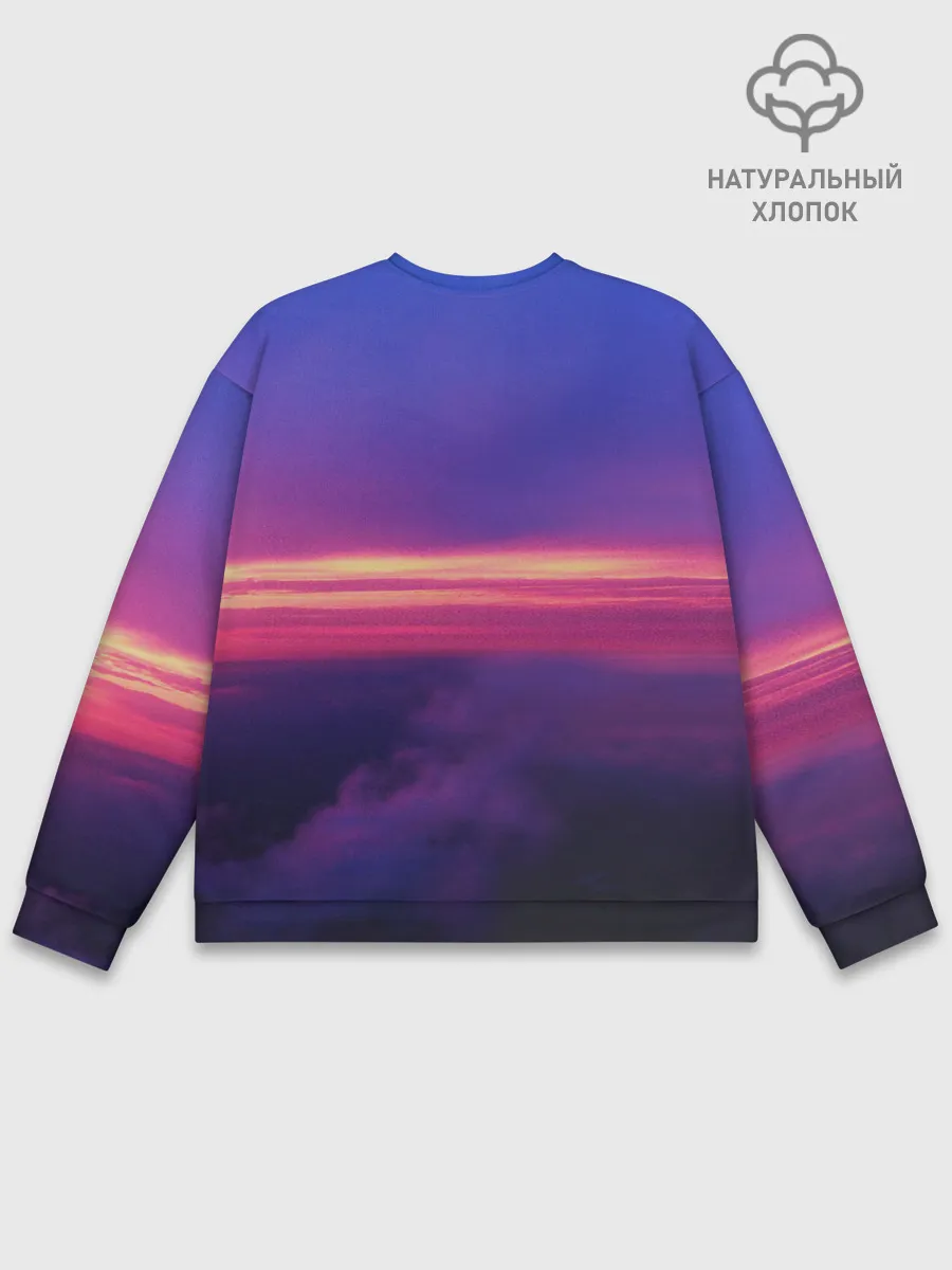 Мужской свитшот базовый / Dusk Sky Horse