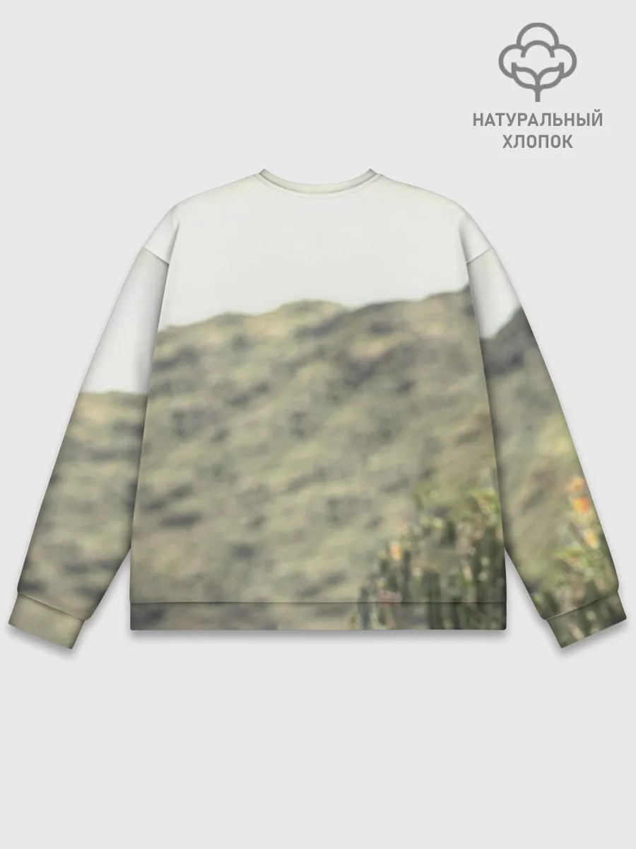 Мужской свитшот базовый / Ведьмак