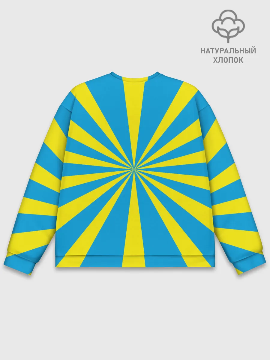 Мужской свитшот базовый / Военно - воздушные силы