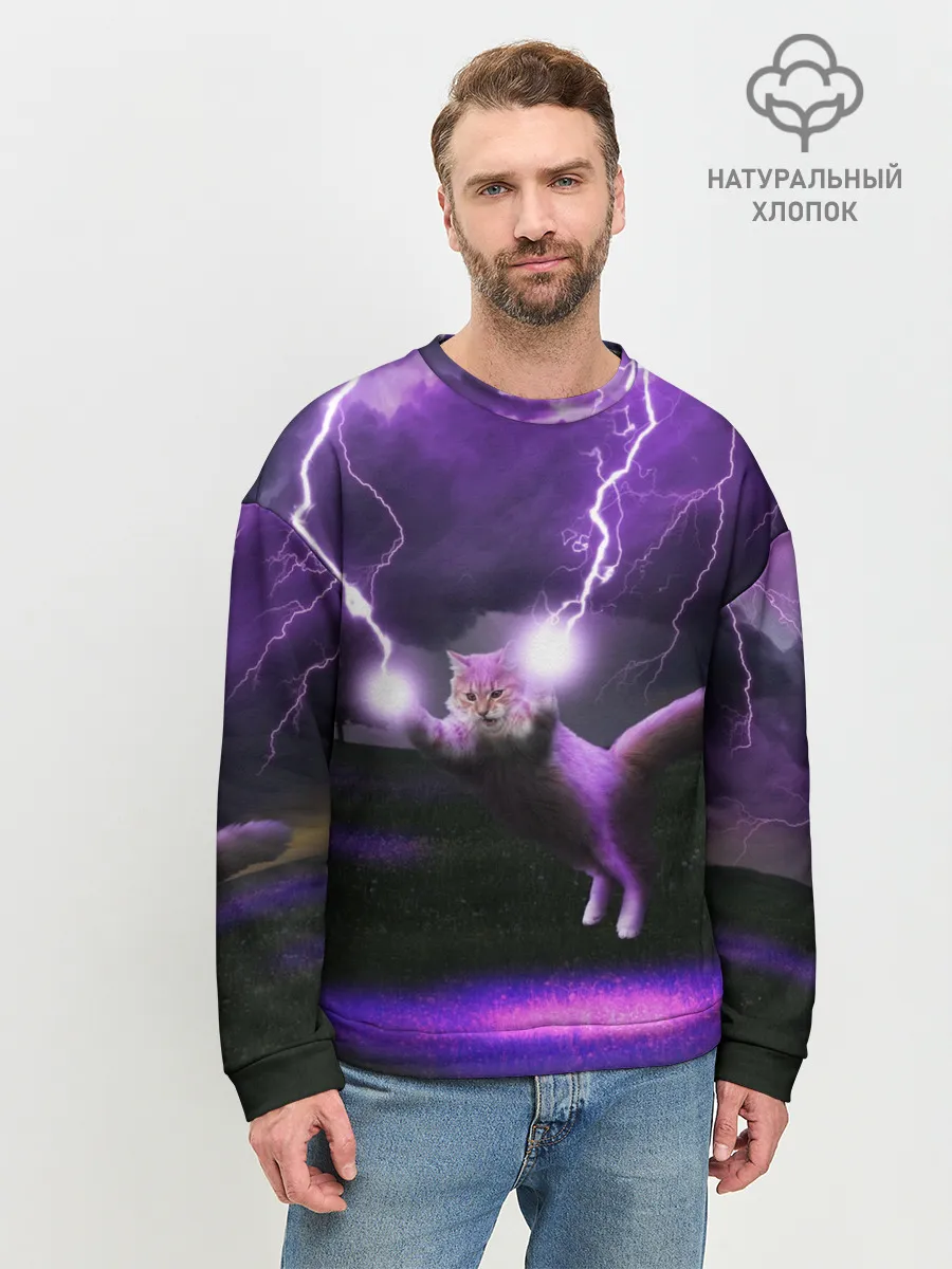 Мужской свитшот базовый / Кот и Молнии