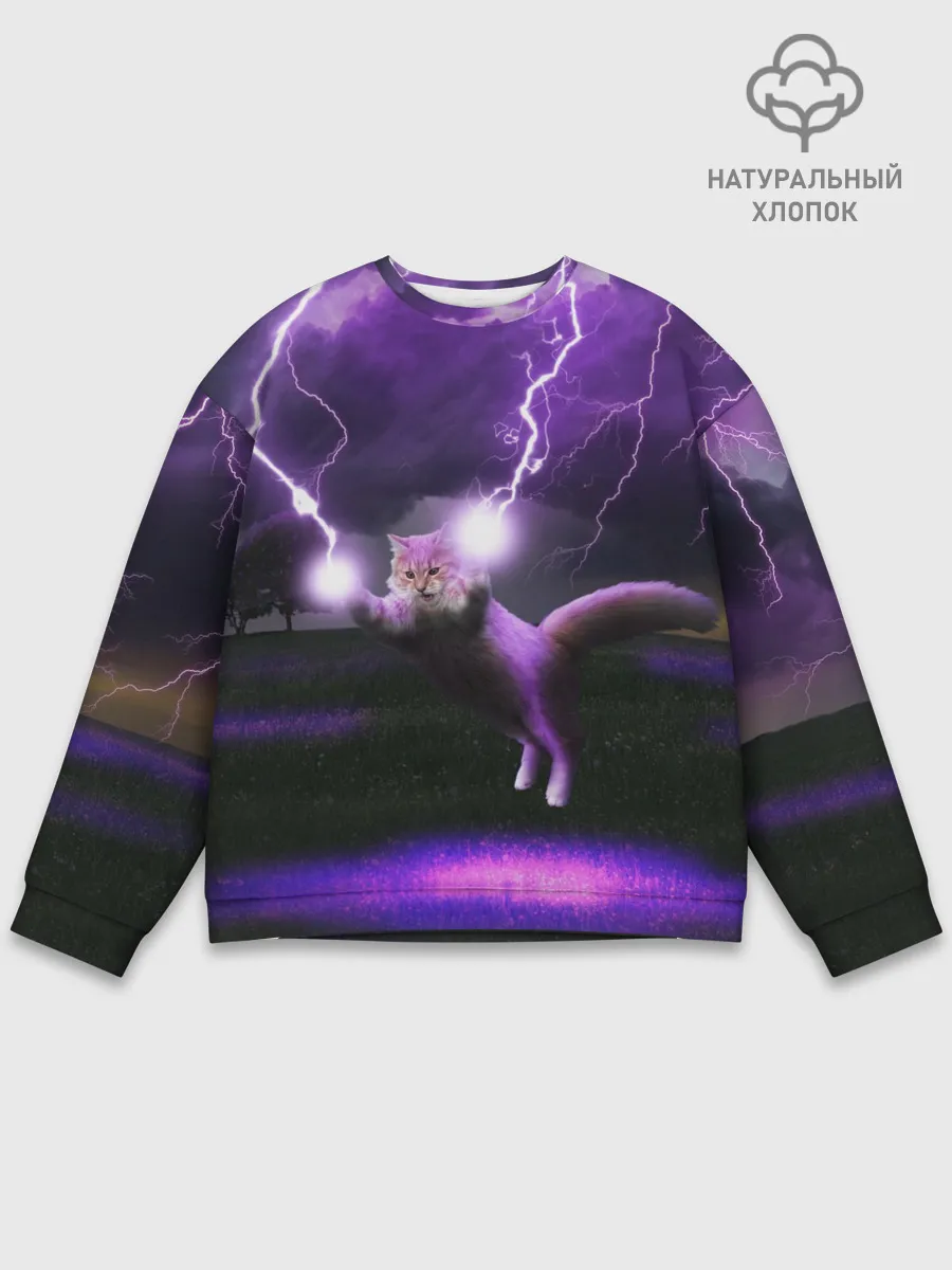 Мужской свитшот базовый / Кот и Молнии